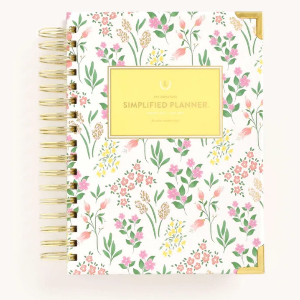 Emily Ley Simplified 2023-2024 Daily Planner
